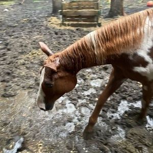 Meet your Posher, Donavan